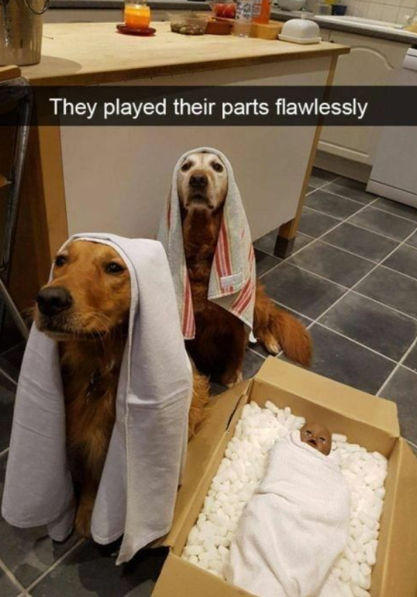 三 134 They played their parts flawlessly