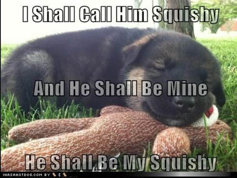 I Shall Call Him Squishy And He Shall Be Mine He Shall Be My Squishy IHASAHOTDOG.COM BY