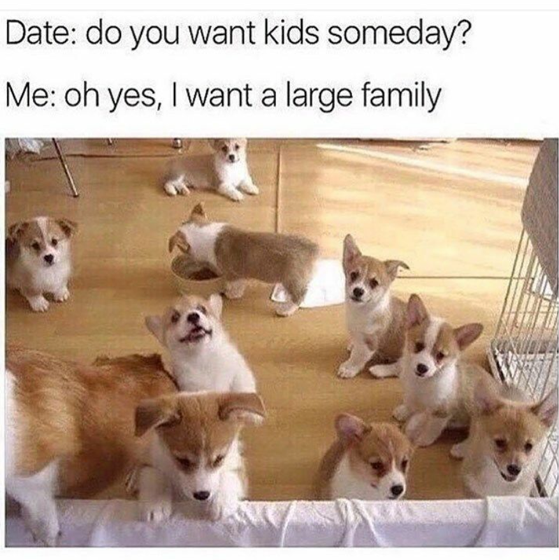 Date: do you want kids someday? Me: oh yes, I want a large family