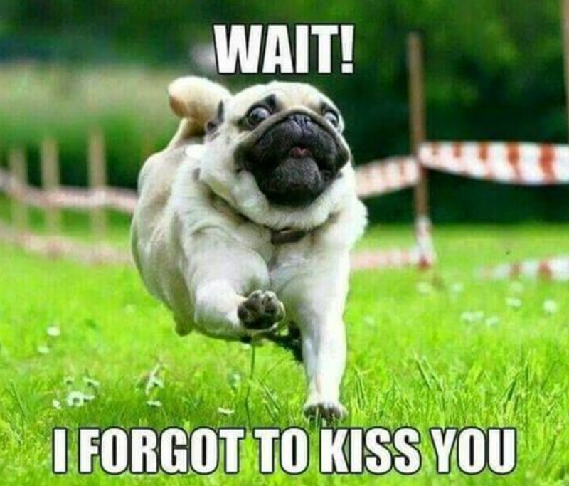 WAIT! I FORGOT TO KISS YOU