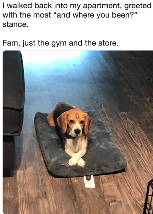I walked back into my apartment, greeted with the most "and where you been?" stance. Fam, just the gym and the store.