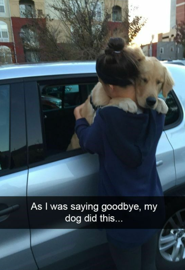 As I was saying goodbye, my dog did this...