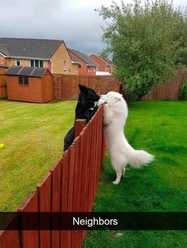 Neighbors