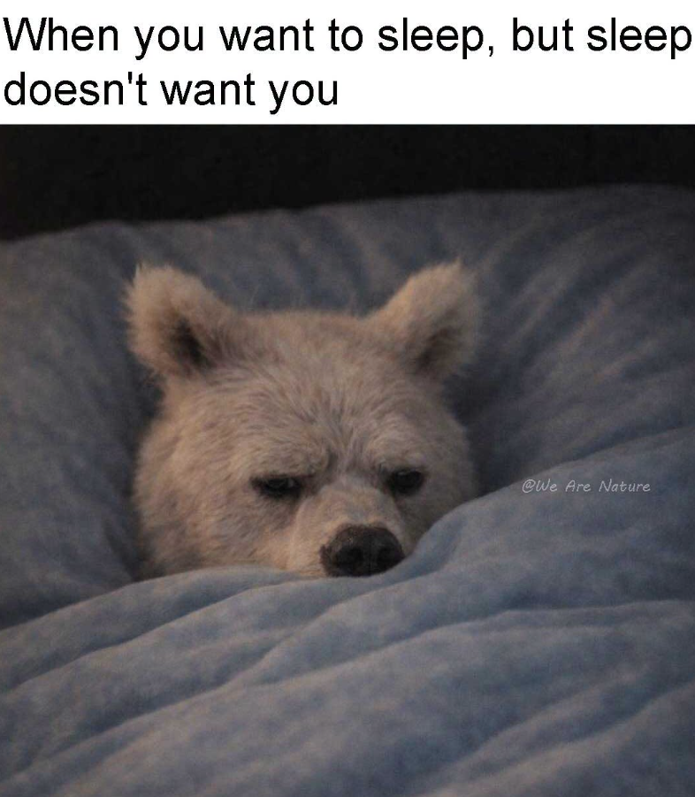 When you want to sleep, but sleep doesn't want you @We Are Nature