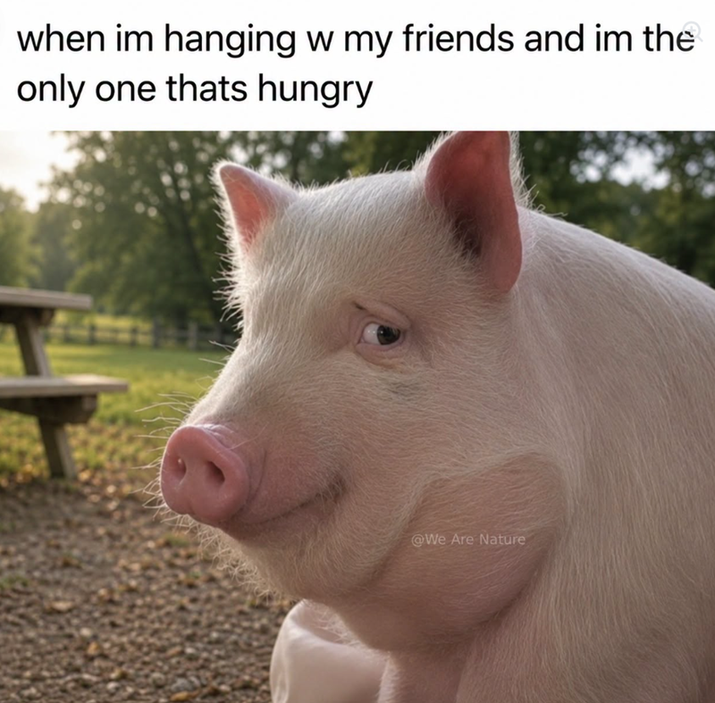 when im hanging w my friends and im the only one thats hungry @We Are Nature