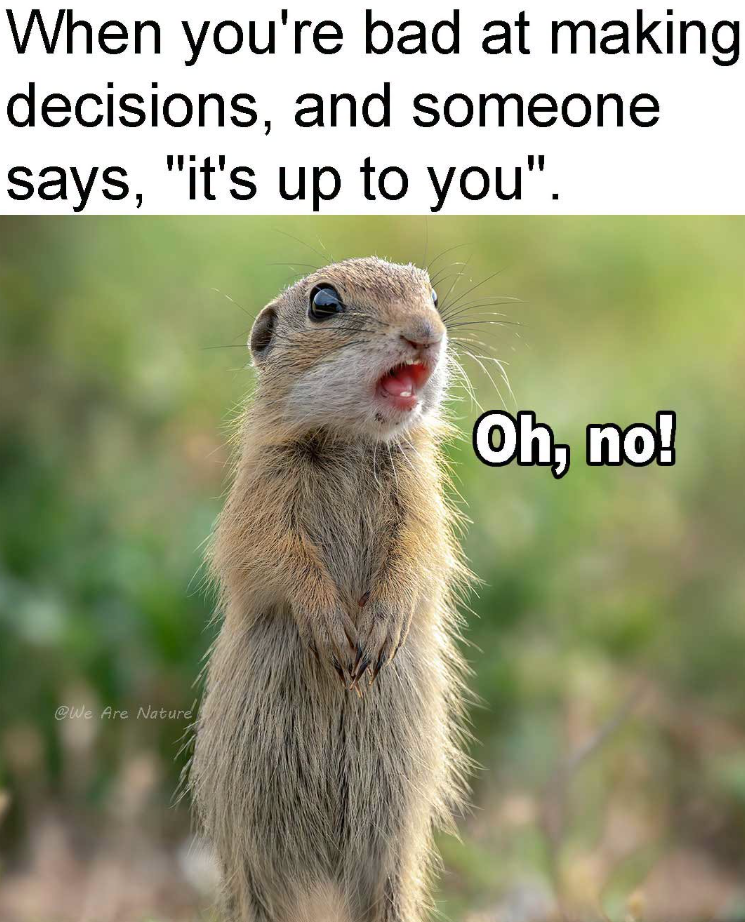 When you're bad at making decisions, and someone says, "it's up to you". @We Are Nature Oh, no!
