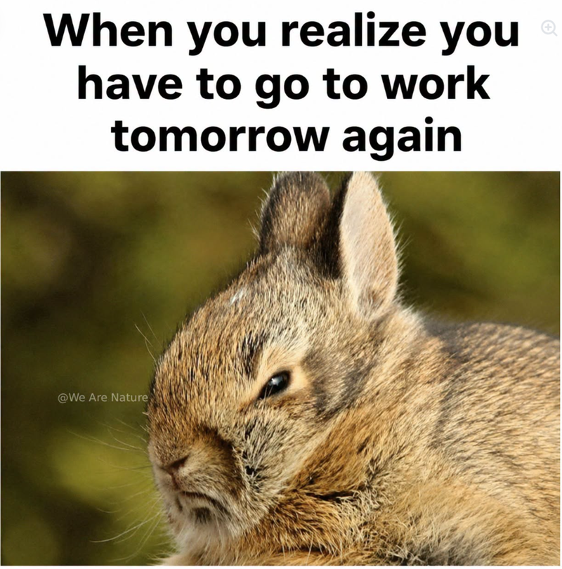 When you realize you have to go to work tomorrow again @We Are Nature
