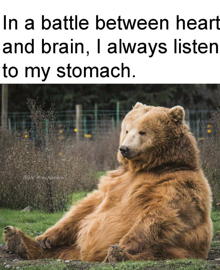 In a battle between heart and brain, I always listen to my stomach. @We Are Nature