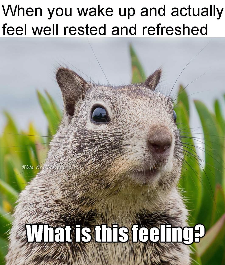 When you wake up and actually feel well rested and refreshed @We Are Nature What is this feeling?