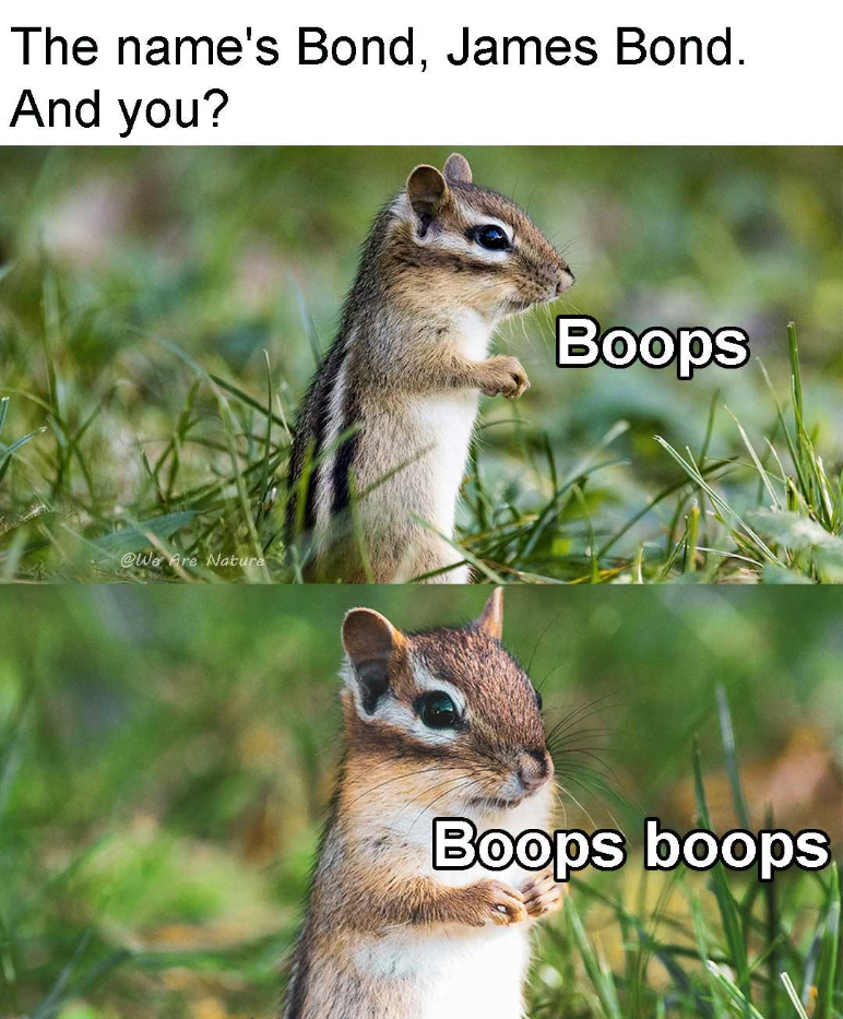 The name's Bond, James Bond. And you? @We Are Nature Boops Boops boops