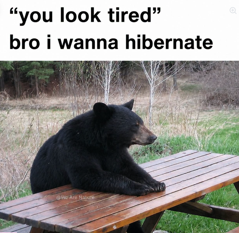 "you look tired" bro i wanna hibernate @We Are Nature