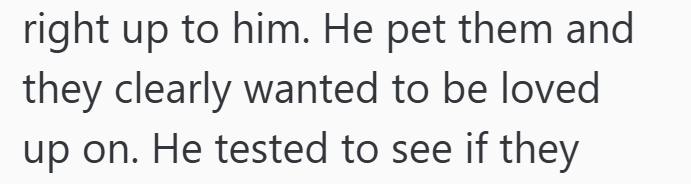 right up to him. He pet them and they clearly wanted to be loved. up on. He tested to see if they