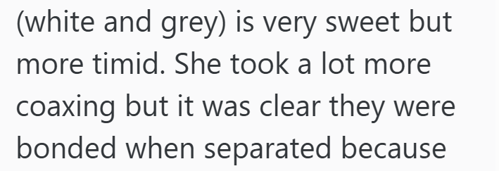 (white and grey) is very sweet but more timid. She took a lot more coaxing but it was clear they were bonded when separated because