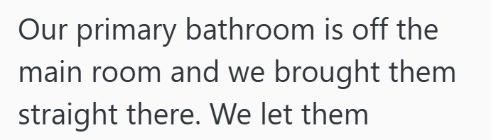 Our primary bathroom is off the main room and we brought them straight there. We let them
