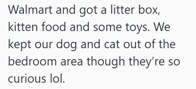 Walmart and got a litter box, kitten food and some toys. We kept our dog and cat out of the bedroom area though they're so curious lol.