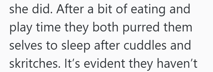 she did. After a bit of eating and play time they both purred them selves to sleep after cuddles and skritches. It's evident they haven't