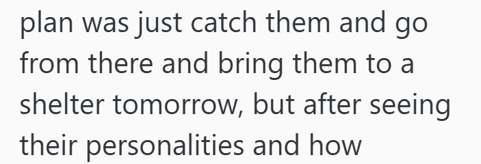 plan was just catch them and go from there and bring them to a shelter tomorrow, but after seeing their personalities and how