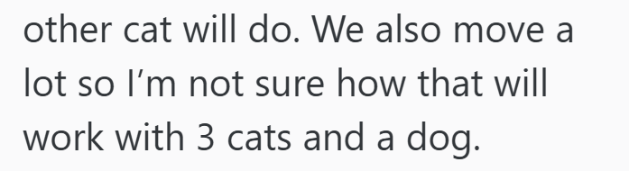 other cat will do. We also move a lot so I'm not sure how that will work with 3 cats and a dog.