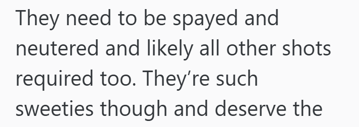 They need to be spayed and neutered and likely all other shots required too. They're such sweeties though and deserve the