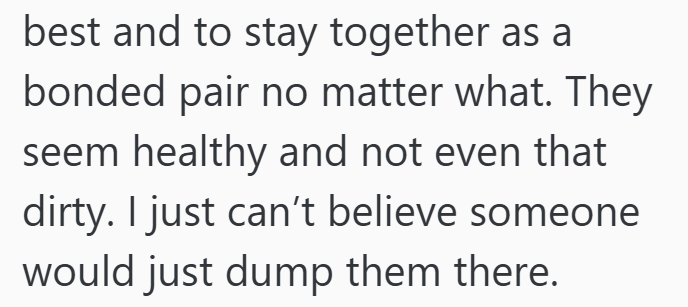 best and to stay together as a bonded pair no matter what. They seem healthy and not even that dirty. I just can't believe someone would just dump them there.