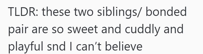 TLDR: these two siblings/bonded pair are so sweet and cuddly and playful snd I can't believe