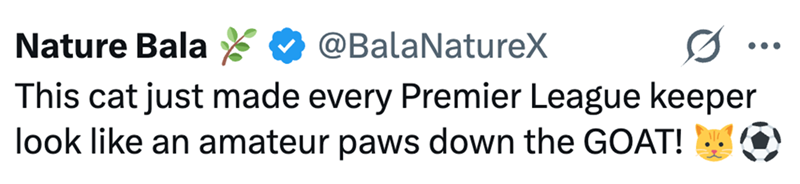 Nature Bala @BalaNatureX This cat just made every Premier League keeper look like an amateur paws down the GOAT!