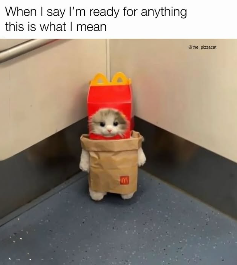 When I say I'm ready for anything this is what I mean @the_pizzacat E
