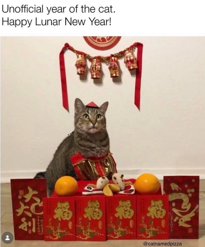 Unofficial year of the cat. Happy Lunar New Year! 福 福 福 cli @catnamedpizza