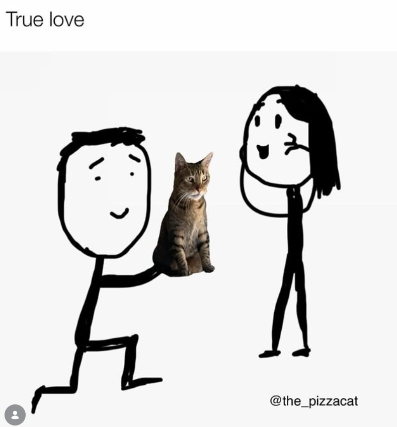 True love @the_pizzacat