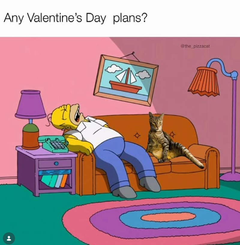 Any Valentine's Day plans? a @the_pizzacat