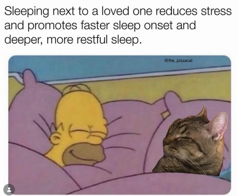 Sleeping next to a loved one reduces stress. and promotes faster sleep onset and deeper, more restful sleep. @the_pizzacat