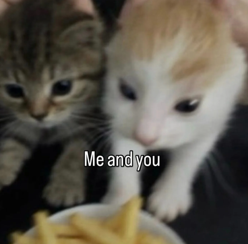 Me and you