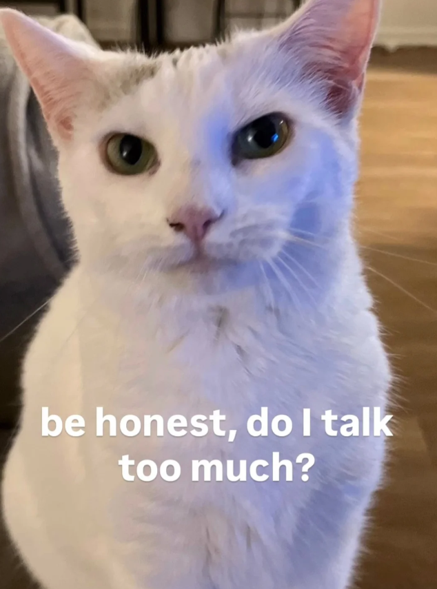 be honest, do I talk too much?