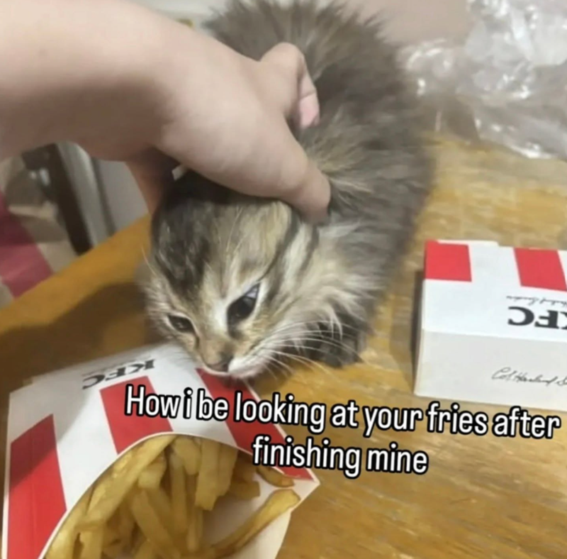 K KFC Col Hacked S How i be looking at your fries after finishing mine FC