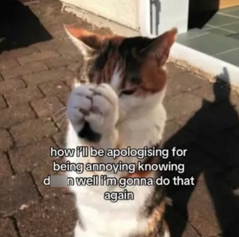 how i'll be apologising for being annoying knowing d n well i'm gonna do that again