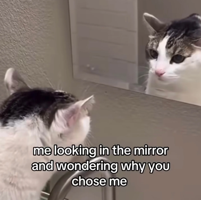 me looking in the mirror and wondering why you chose me