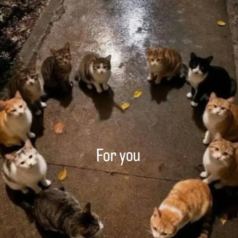 For you