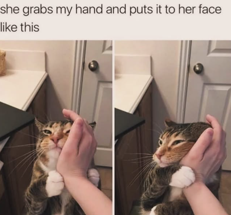 she grabs my hand and puts it to her face like this
