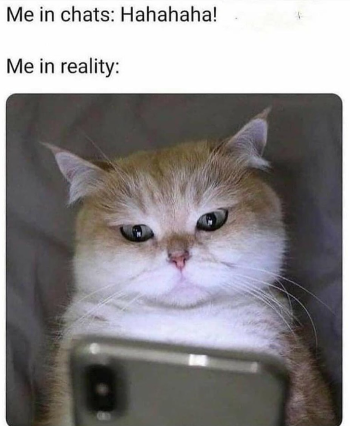 Me in chats: Hahahaha! Me in reality: