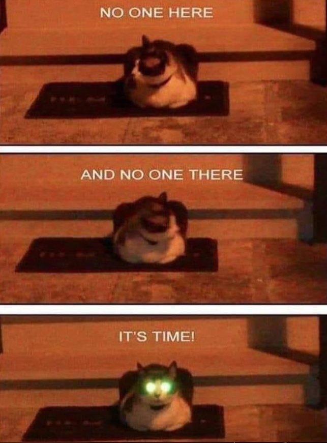 NO ONE HERE AND NO ONE THERE IT'S TIME!