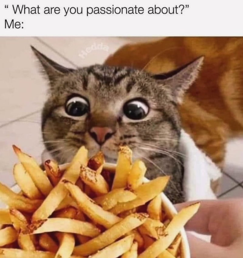 4 " 'What are you passionate about?" Me: Hedda