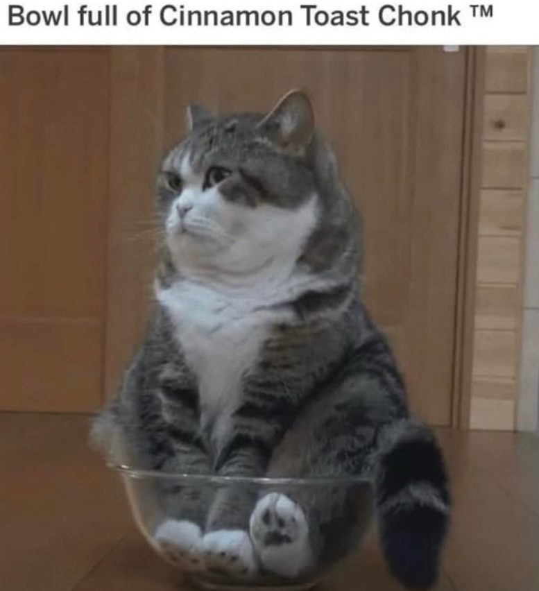 Bowl full of Cinnamon Toast Chonk T