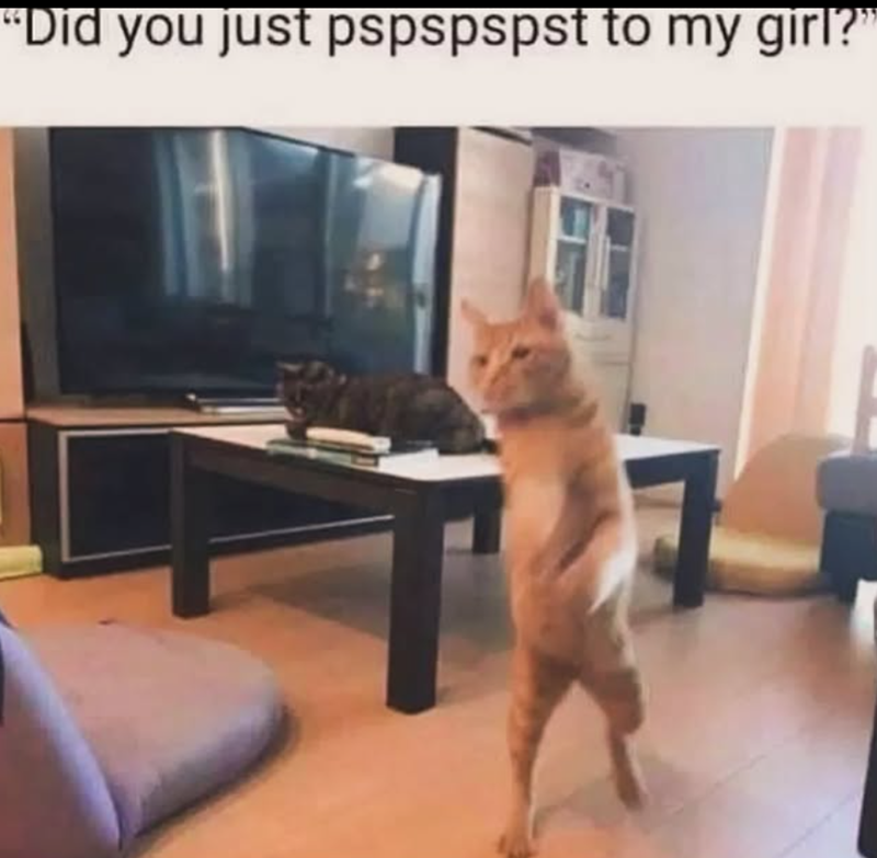 “Did you just pspspspst to my girl?”