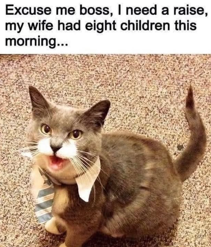 Excuse me boss, I need a raise, my wife had eight children this morning...