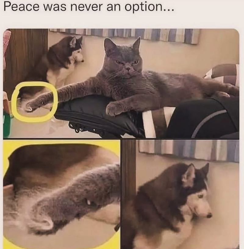 Peace was never an option...