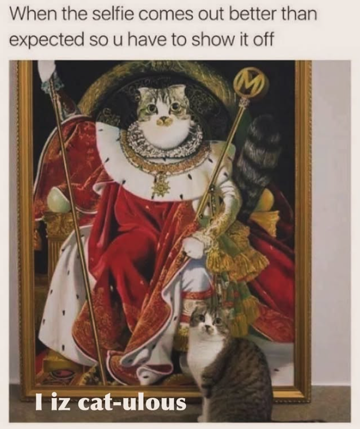 When the selfie comes out better than expected so u have to show it off M I iz cat-ulous