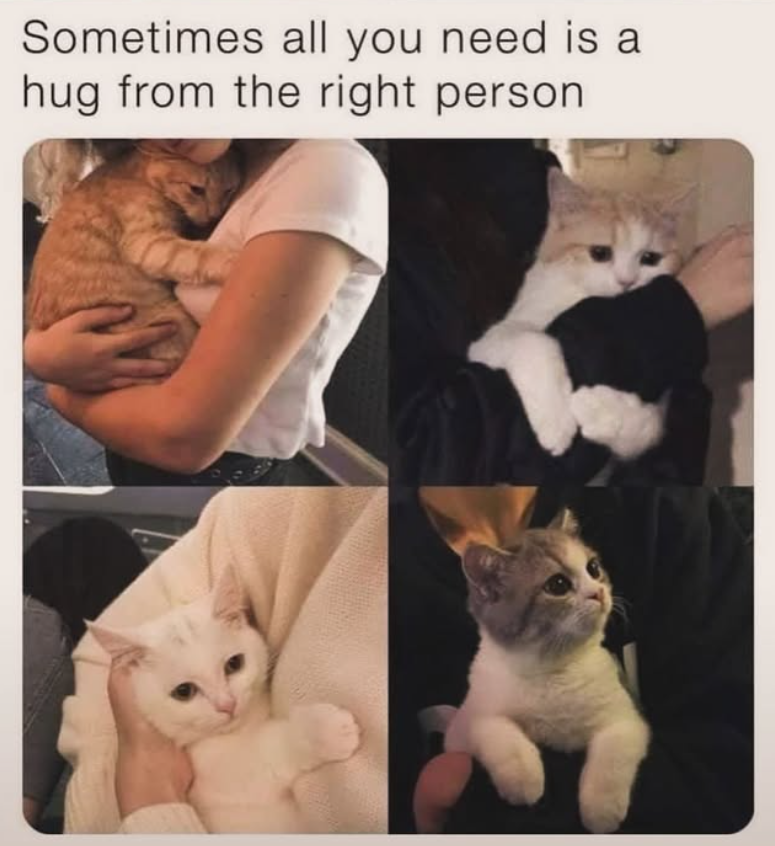 Sometimes all you need is a hug from the right person.
