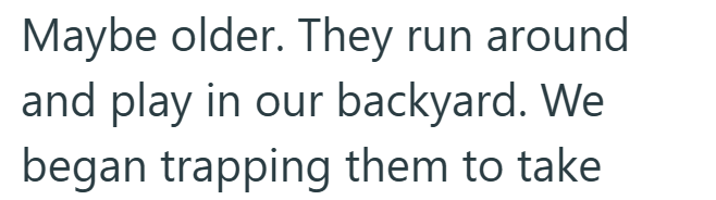 Maybe older. They run around and play in our backyard. We began trapping them to take