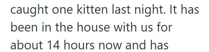 caught one kitten last night. It has been in the house with us for about 14 hours now and has