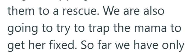 them to a rescue. We are also going to try to trap the mama to get her fixed. So far we have only